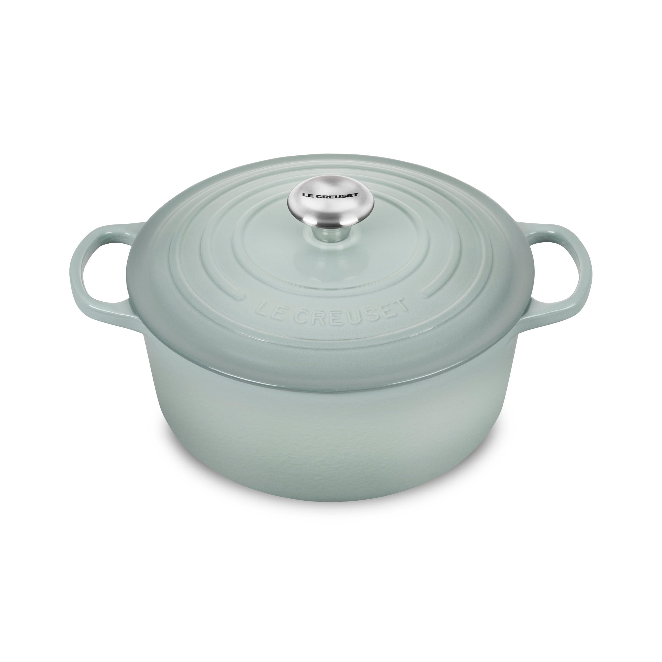 Le Creuset Signature Cast Iron 5.5-quart Sea Salt Round Dutch Oven