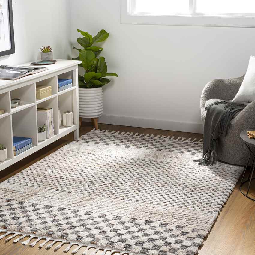 New Point Modern Ivory Area Rug