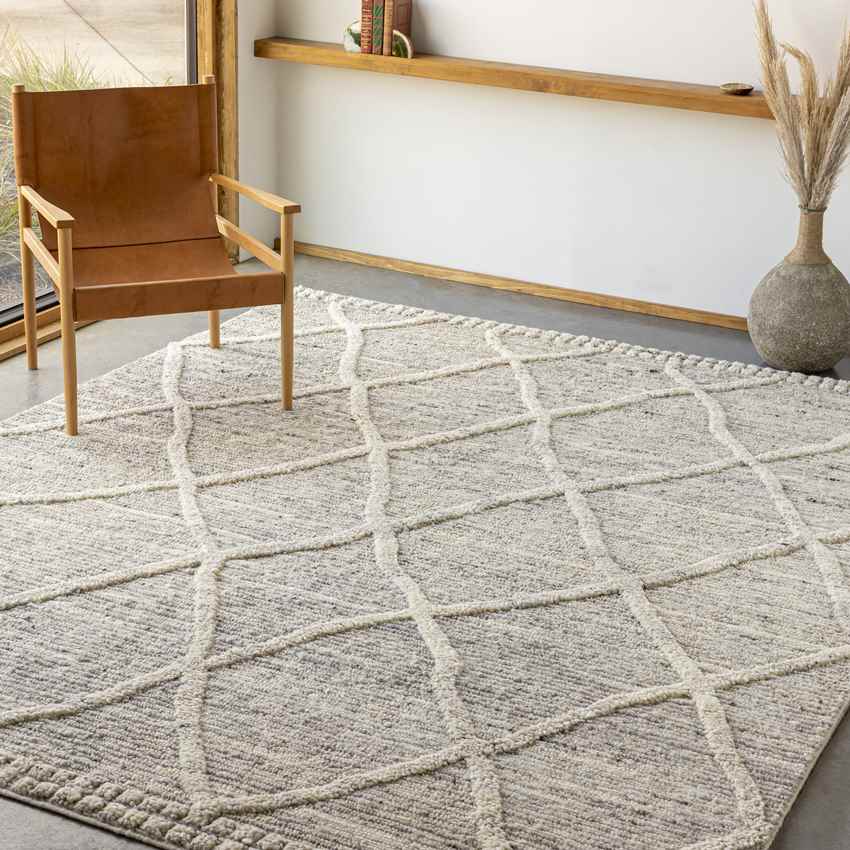 Thompson Global Beige Area Rug