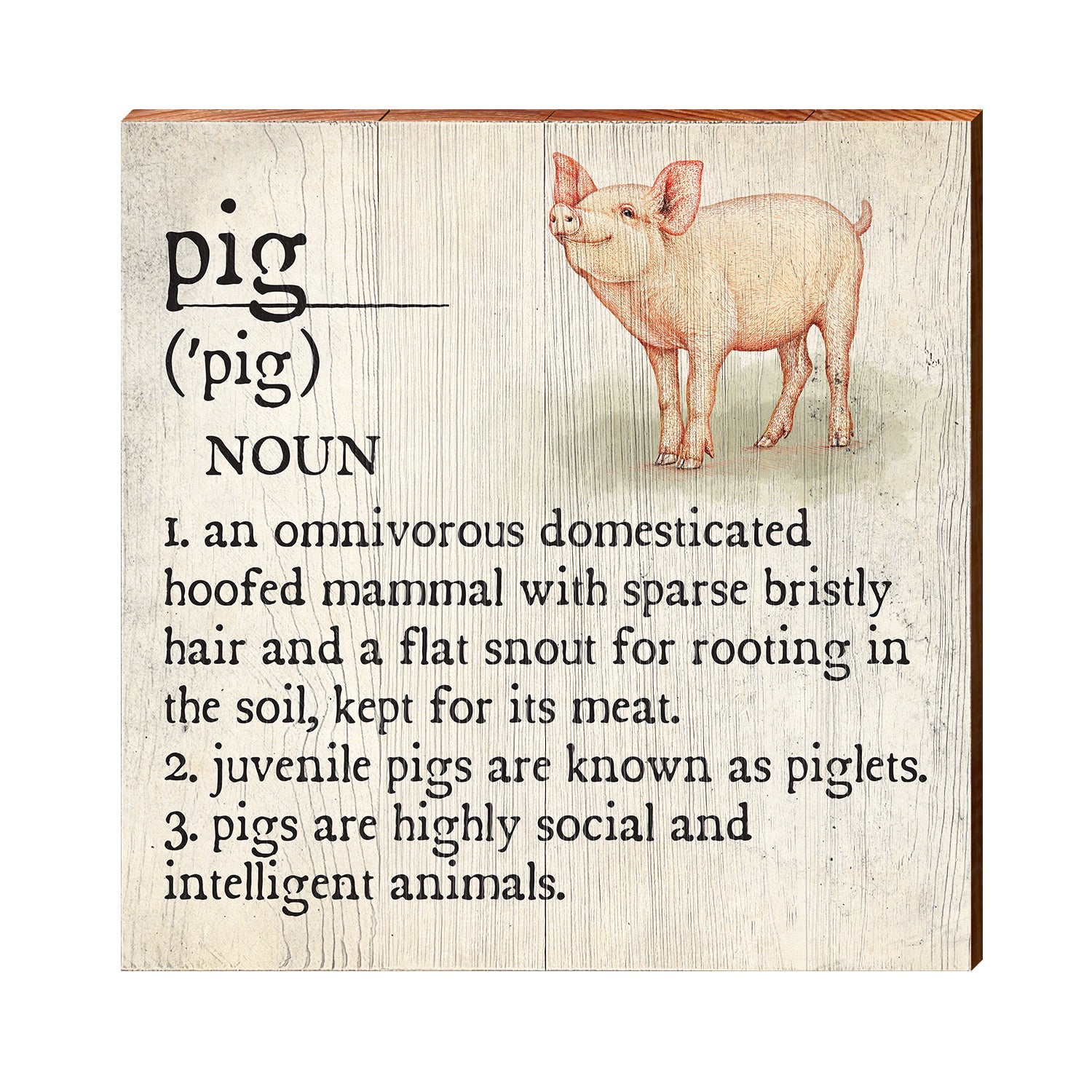 Pig Definition Wooden Sign | Wall Art Print on Real Wood | Farmhouse Country Home Decor