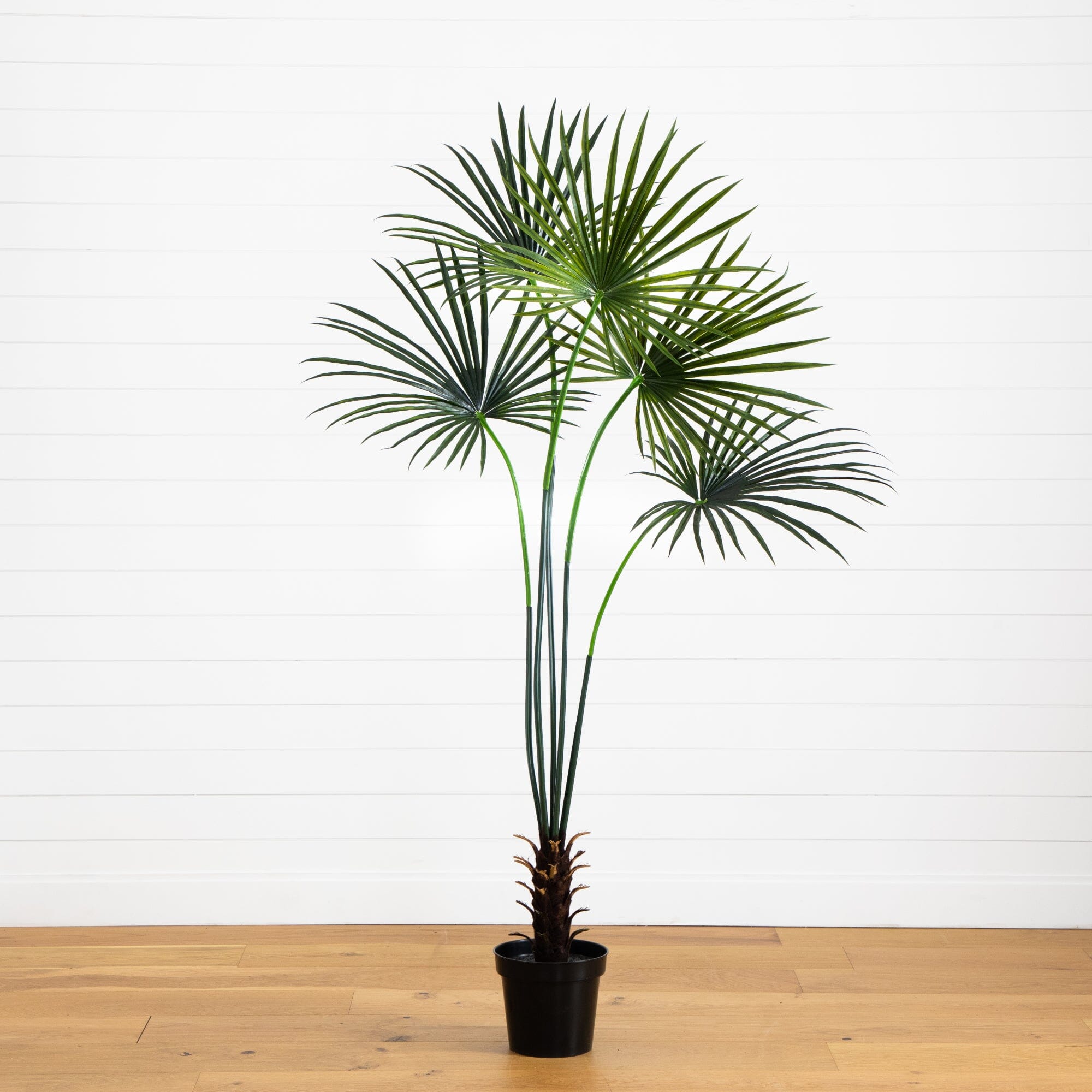 7’ Fan Palm Tree UV Resistant (Indoor/Outdoor)